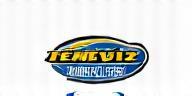 Temiz Oto Yıkama Hizmetleri Logo